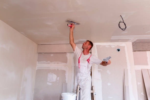  , USA Dry wall and painting Pros